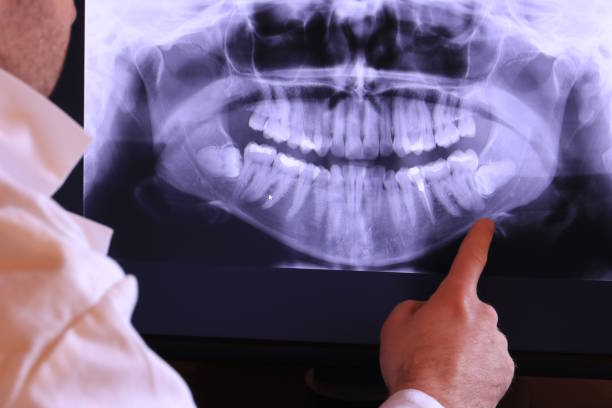 Best Emergency X-Rays and Diagnostics in Mcdade, TX