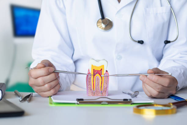 Best Walk-In Emergency Dental Services in Mcdade, TX